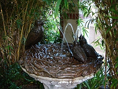 441 Longwood Gardens [2008 August 23]